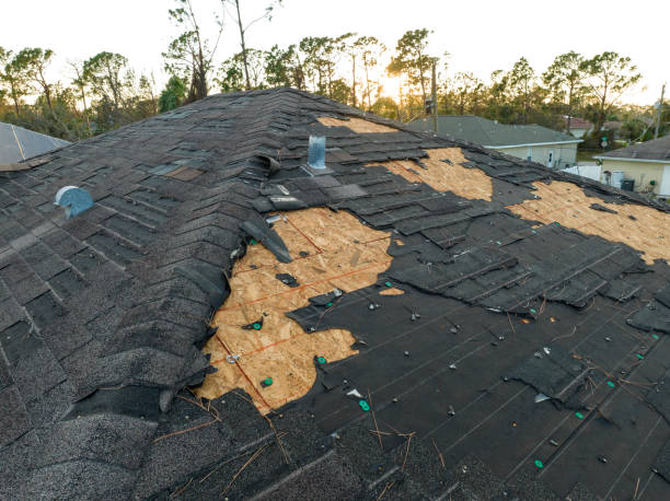Best Asphalt Shingle Roofing  in North Charleston, SC